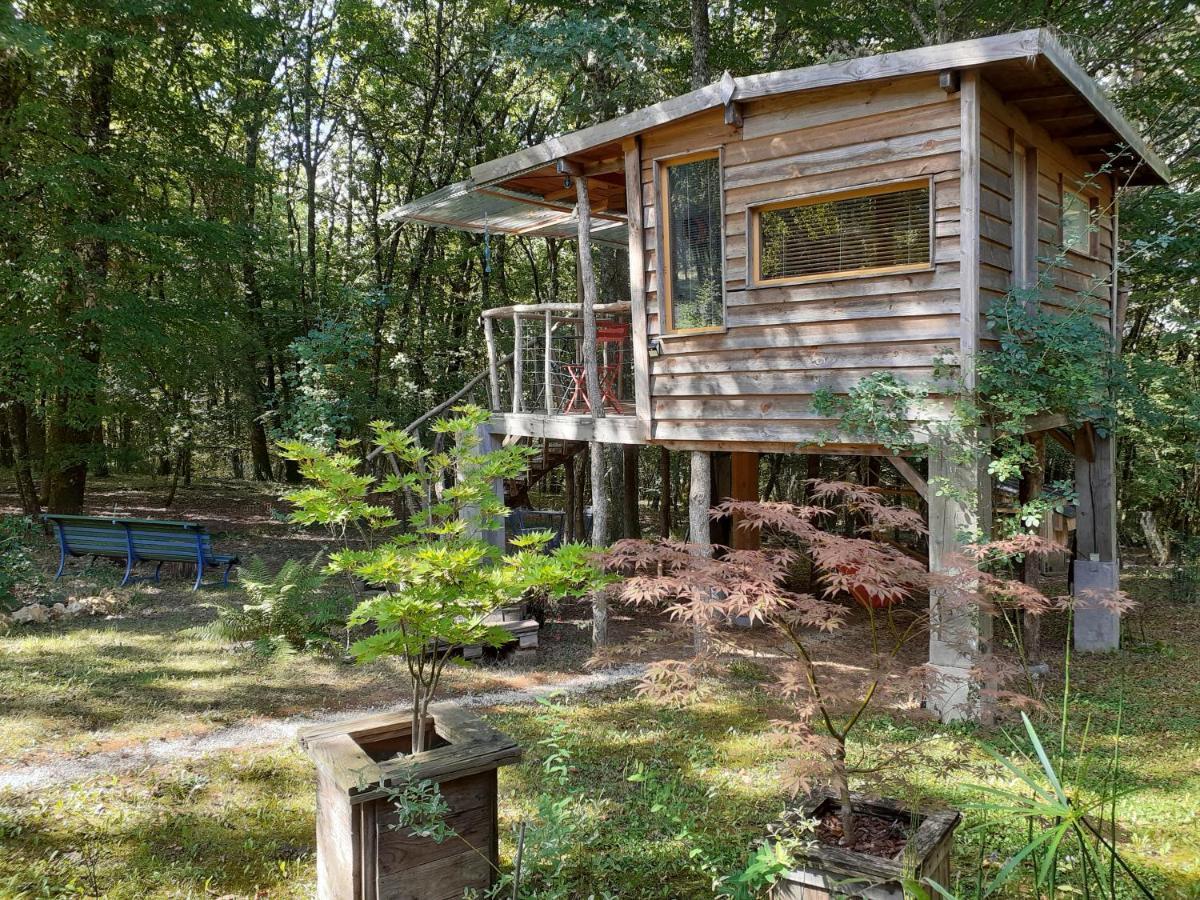 La Cabane De L'Oiseau Couze-et-Saint-Front Dış mekan fotoğraf