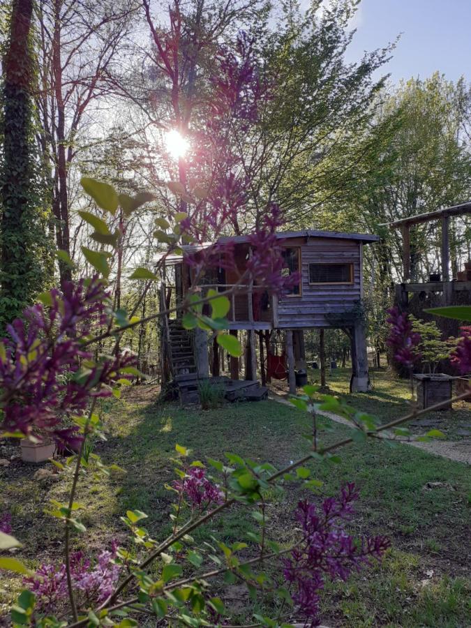 La Cabane De L'Oiseau Couze-et-Saint-Front Dış mekan fotoğraf