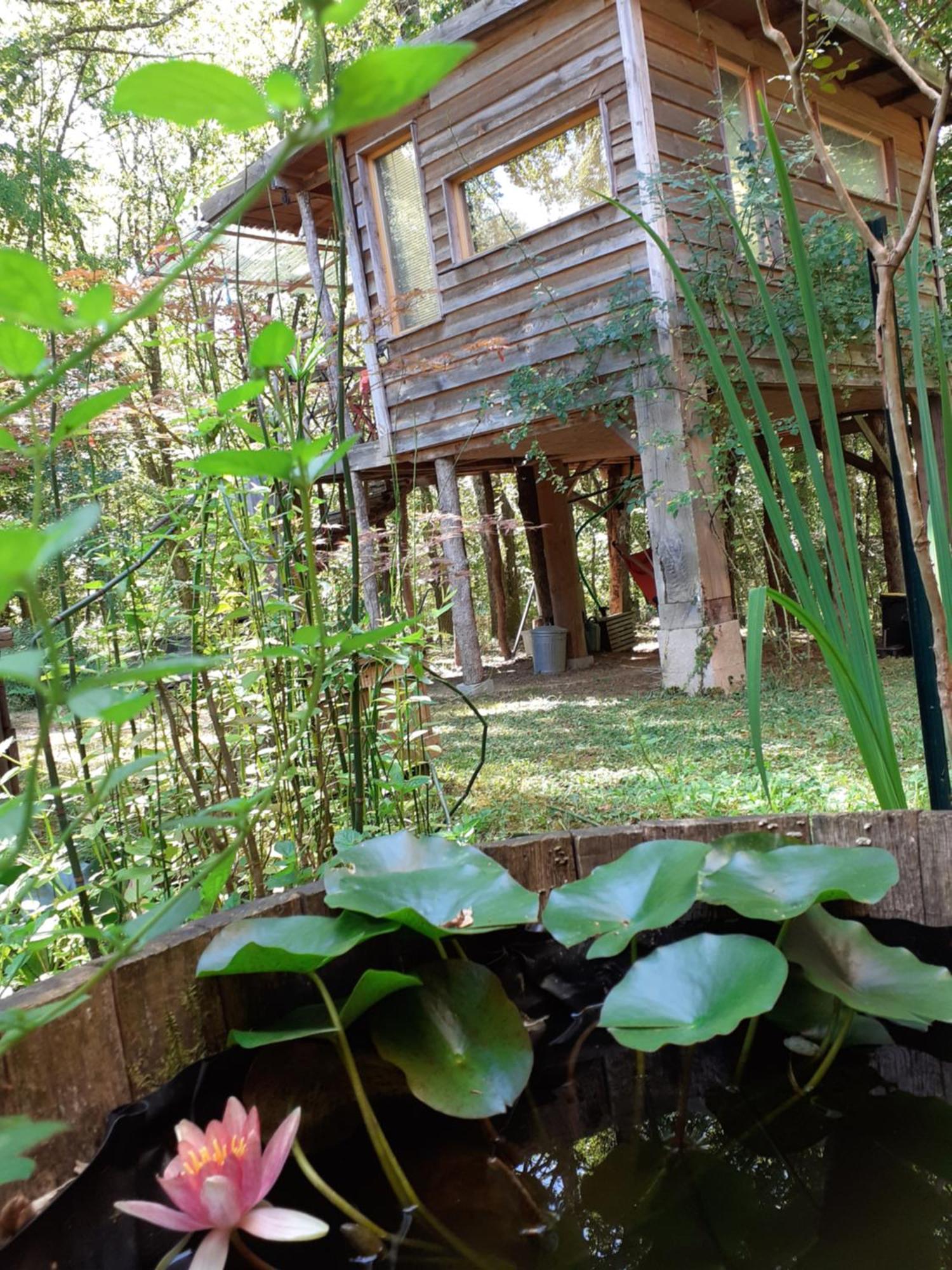 La Cabane De L'Oiseau Couze-et-Saint-Front Dış mekan fotoğraf