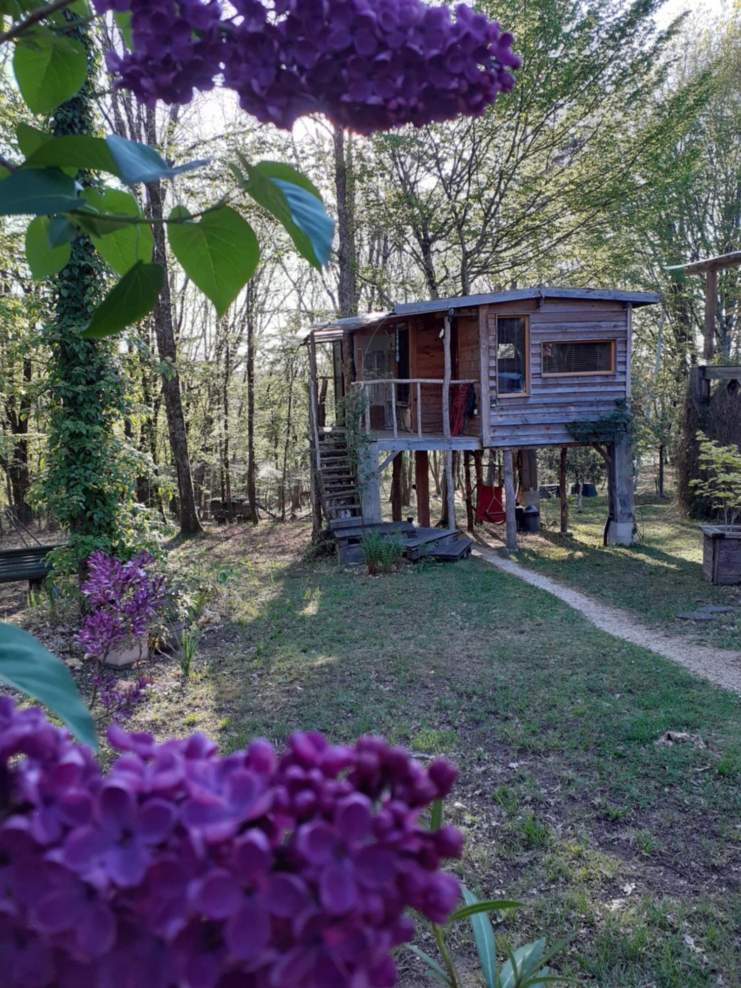 La Cabane De L'Oiseau Couze-et-Saint-Front Dış mekan fotoğraf