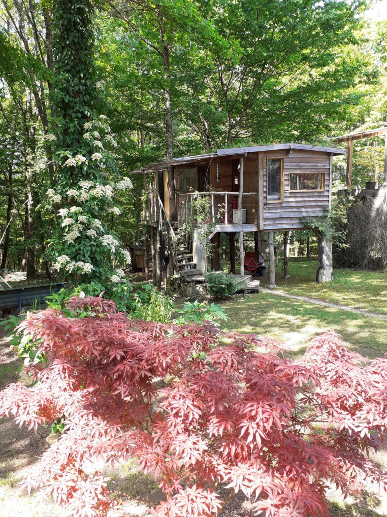 La Cabane De L'Oiseau Couze-et-Saint-Front Dış mekan fotoğraf